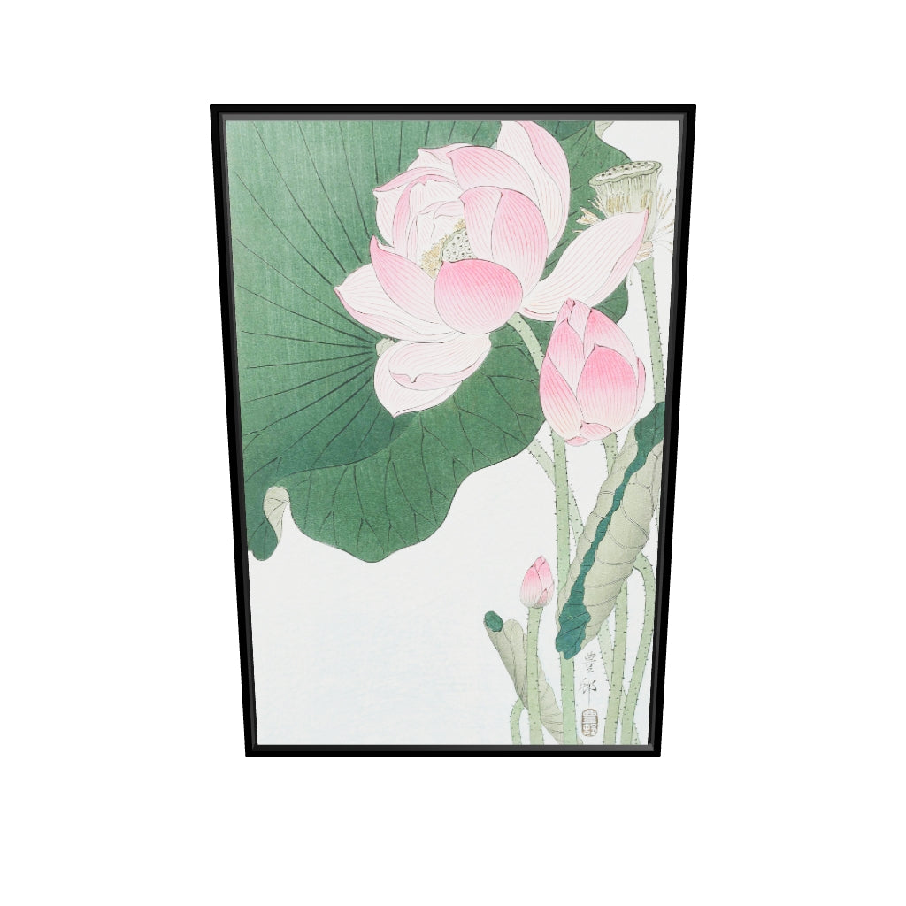 Blooming Lotus